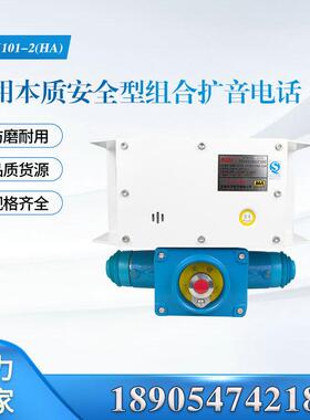 煤矿用本质安全型组合扩音电话KTK101-2(HA)-F-SH