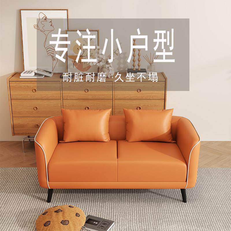 沙发小户型双人三人客厅出租屋公寓轻奢接待科技布小沙发现代简约