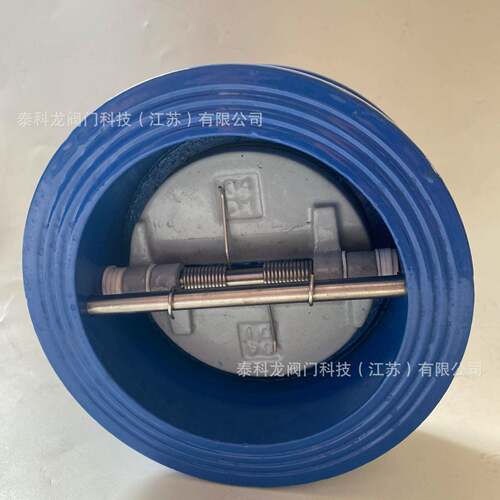 H77XN-10/16Q对夹双瓣尼龙阀板止回阀DN4050658010012525
