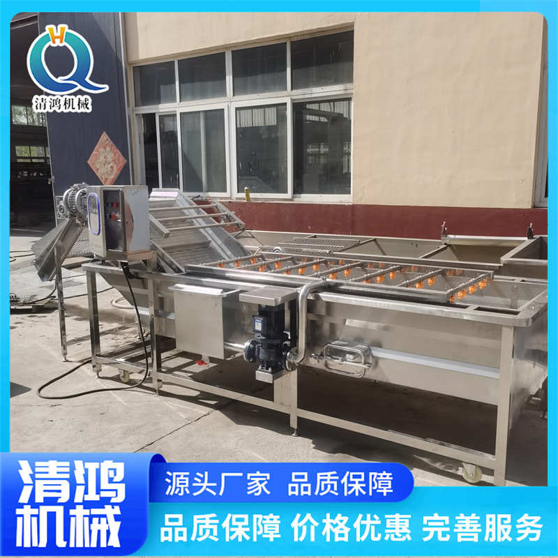 加工油清洗大型 菜 麦蔬菜流水线气泡学生设备海带商用餐厅清洗机