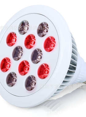 热销 PAR38 12W 24W LED红外理疗灯 烤灯660+850家用理疗灯