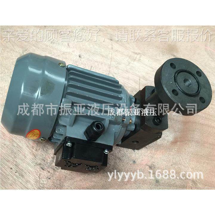 ZCB-0.8/1.2/2.5转子式油泵电机组装置30V 4 0W608W 9W667 0120W2