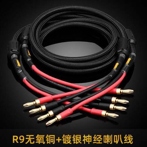 ATAUDIO R9发烧级无氧铜带镀银神经线音箱喇叭线音响线连接专用线