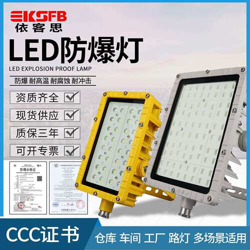 BFC8115LED泛光灯60W厂房隔爆型投光灯100W户外防水路灯式防爆灯