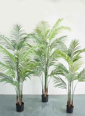 仿真散尾葵 贵妃葵 凤尾葵散尾竹盆栽人造塑料植物室内外植物造景