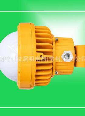 BJQ610固态免维护防爆灯LED光源圆型防爆吸顶灯20W30W自带蓄电池
