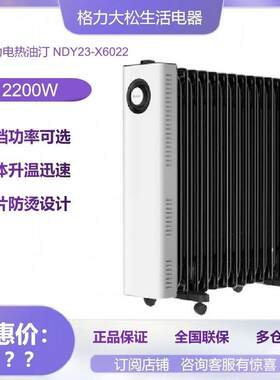 格.力取暖器正品新款家用加宽双面加热电油汀电暖器NDY2-X6022