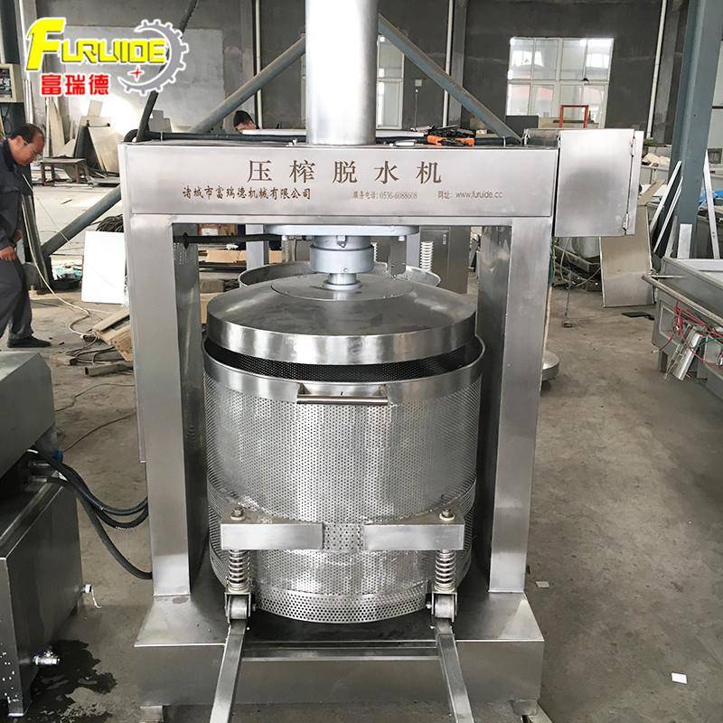 定制大吨位压榨机 生姜压榨收汁机 全自动液压式食品压榨机