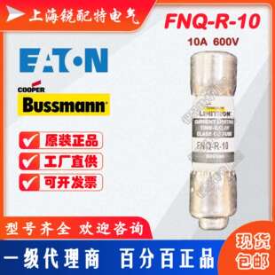 FNQ-R-10 延时保险丝 600V 10A 10X38 巴斯曼BUSSMANN熔断器