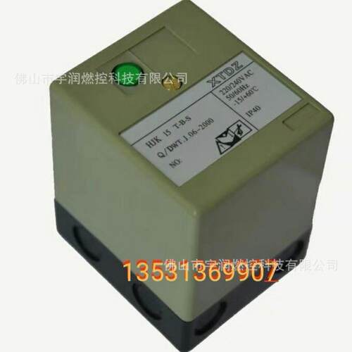 火焰检测器 火焰控制器HJK 15 T-B-S