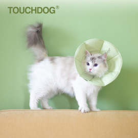 touchdog狗狗伊丽莎白圈猫咪，项圈防舔咬颈脖圈宠物，头套绝育耻辱圈