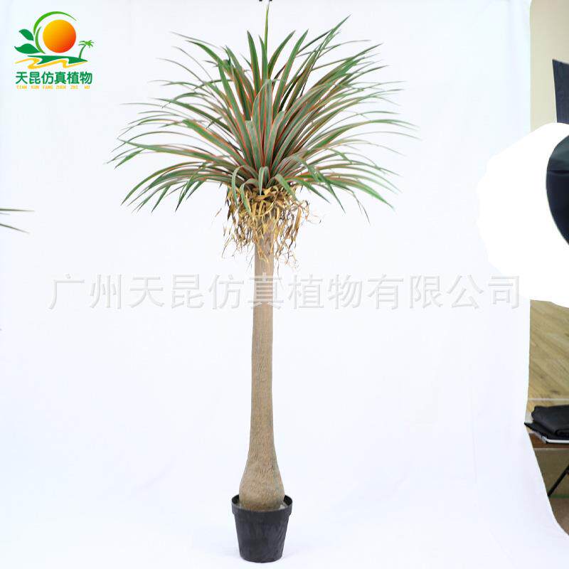 仿真龙血树家居橱窗装饰盆景假植物 假龙血树丝兰树铁树盆栽绿植