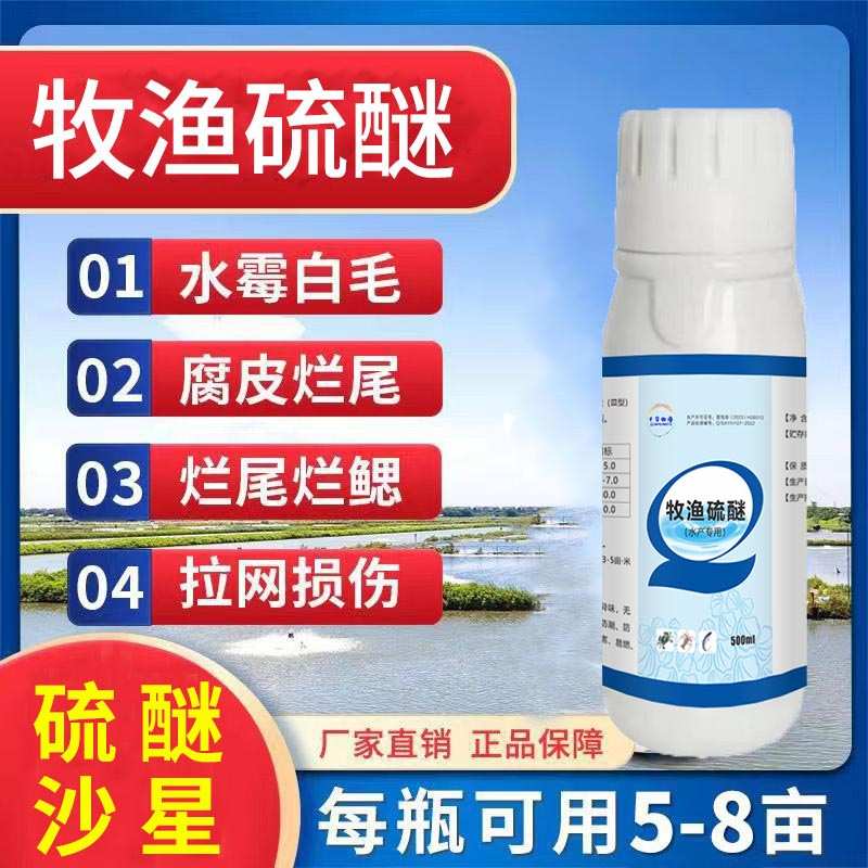 硫醚沙星水产养殖专用出血烂鳃腐皮烂尾水霉净白毛白点烂身灵消毒