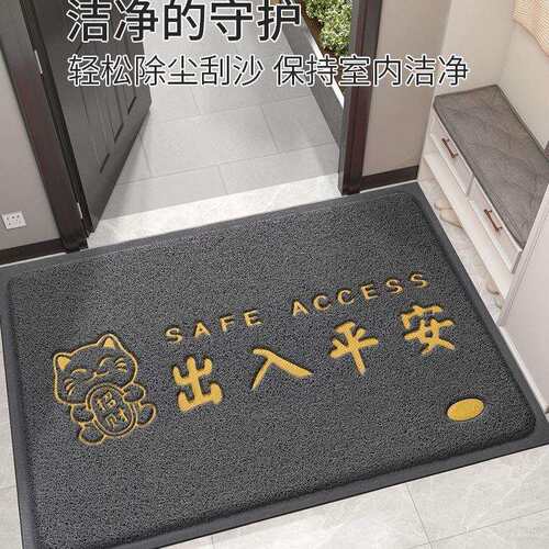 入户门地垫进门2025新款丝圈脚垫大门口家用门垫门外防滑耐脏地毯