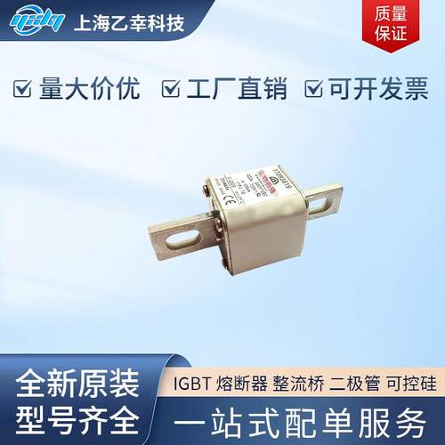 巴斯曼熔断器 170M4068 170M4069 170M4108 170M4109 170M4110