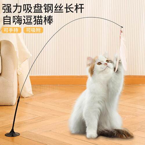 Strong Suction Cup Cat Teaser Wand with Long Handle for Self