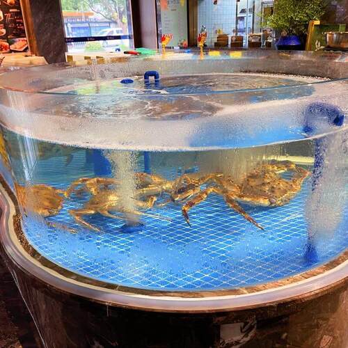 商用异型玻璃缸海水缸可全国上门服务海鲜缸大型固定式鱼缸海鲜池