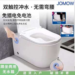 脉冲蹲坐两用马桶无水箱小户型蹲坐一体坐I便器双用可蹲可坐 新款
