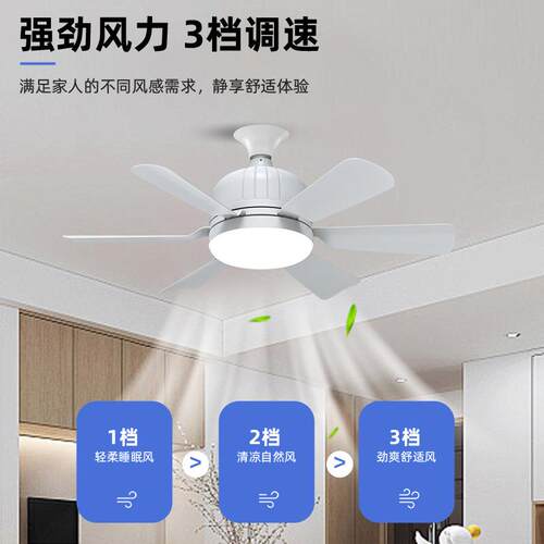 跨多境吊灯LED新款EE风扇灯功能29扇三扇色调光卧室客厅风灯