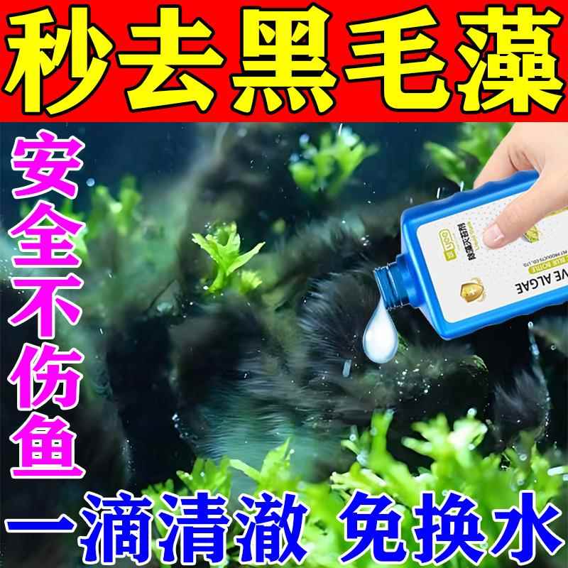 黑毛藻去除剂鱼缸除藻去苔剂除绿水褐藻水草青苔绿藻净缸不伤鱼剂