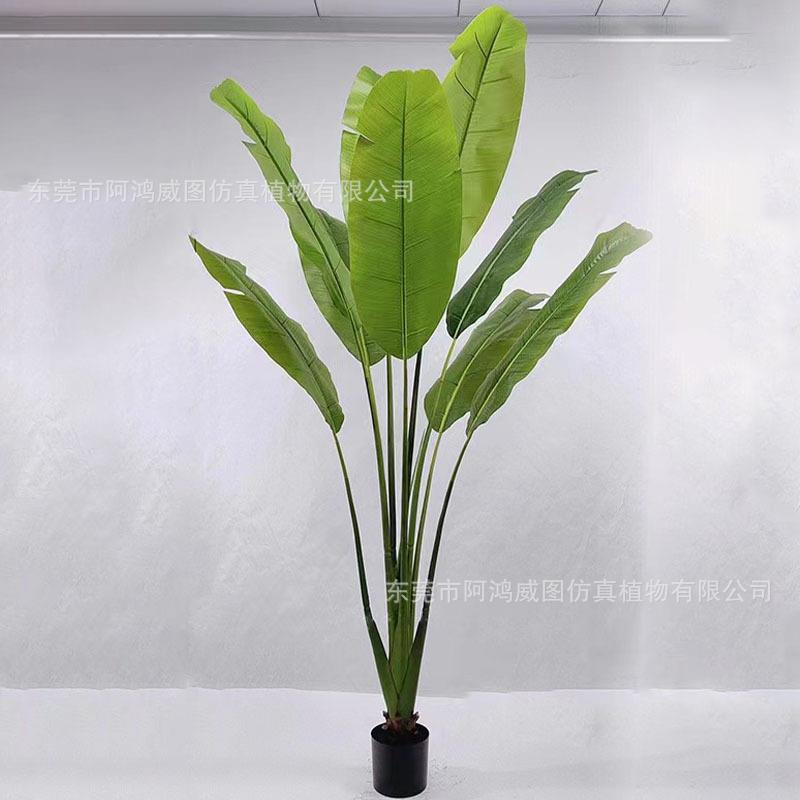 大型仿真芭蕉树盆栽 东南亚餐厅装饰孔雀开屏芭蕉树摄影道具装饰