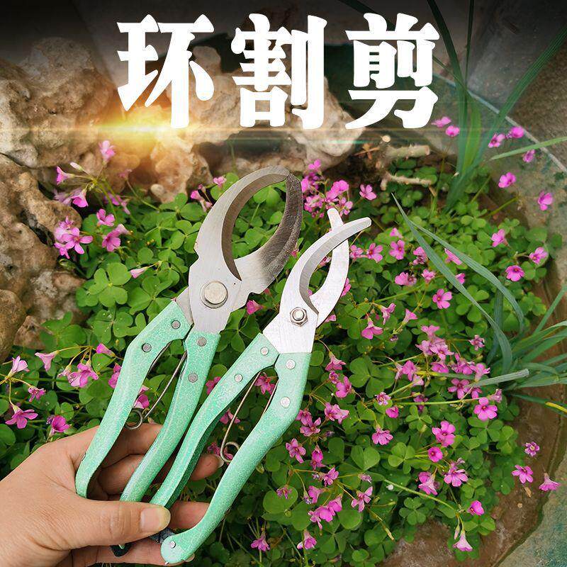 五金园林工具果树剥皮器修枝剪环切枝剪刀绿化扒皮刀环割刀环割剪
