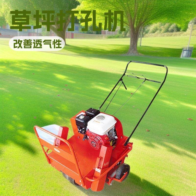 手推式草坪钻孔机园林草地透气钻孔机人工种植草坪汽油打孔机