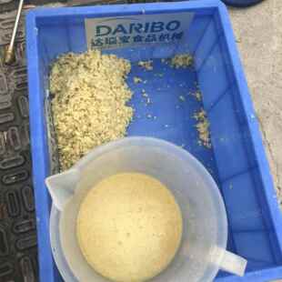 W刺梨榨汁 FCT胡萝卜生姜榨机榨汁汁机蔬菜水果电动机打碎机破碎