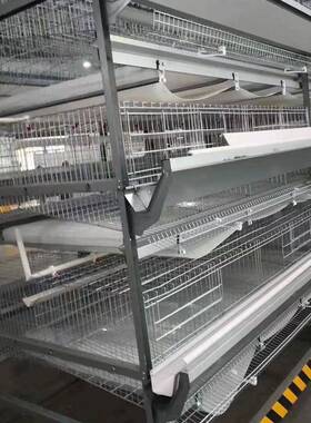 养殖场鸡笼多镀层全自动工业化养鸡笼全套设备热XSF锌框架殖蛋鸡