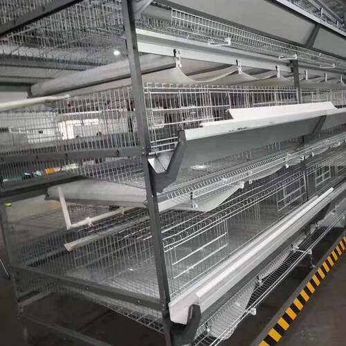 养场鸡笼殖多层BFT全自动工业化养殖镀鸡笼全设备套热锌框架蛋鸡