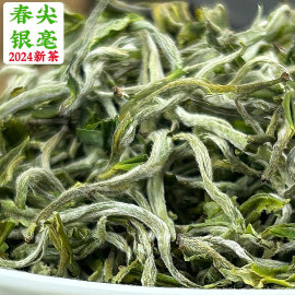 君点2024新茶云南普洱春尖银毫绿茶珍品一级散茶，250g罐装鲜香回甜