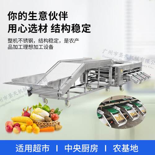 龙眼分级选果机山楂青金桔等果蔬分选机滚杠大小分拣不伤果