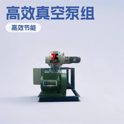 JZJX300-42真空机组ZJP300+70罗茨旋片式真空泵机组2x30A真空抽气