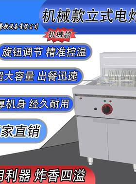 商用立式机械款电炸炉油炸锅恒温油炸大容量不锈钢材质安全耐用