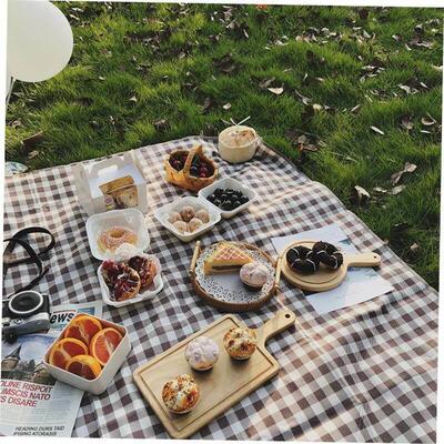 Outdoor Thicken Pad Blanket Camping Beach Plaid Picnic Mat