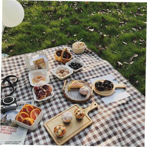 Outdoor Thicken Pad Blanket Camping Beach Plaid Picnic Mat