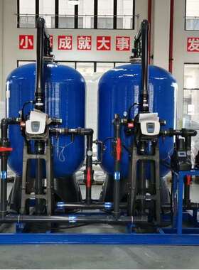 泳池防温泉全水过滤净化设备锅炉结垢自全动软水器784自动去离子
