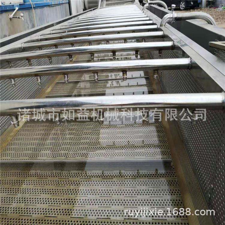 黑木耳泡发清洗机自动式木耳清洗设备直销黑木耳去泥沙清洗线