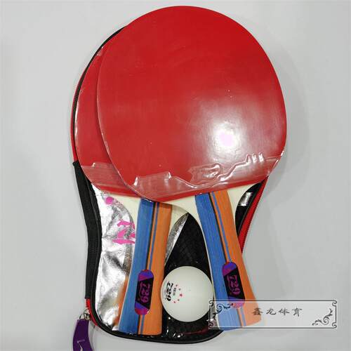 高档正品友谊球729乒乓球拍反胶套对拍乒乓初者训练比赛直装拍学