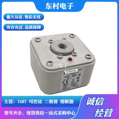 熔断器170M6418 170M6419 170M6420 170M6421全新现货量大从优