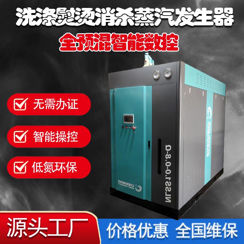 洗涤整烫行业全自动蒸汽发生器全预混天然气0.5吨1吨蒸汽锅炉
