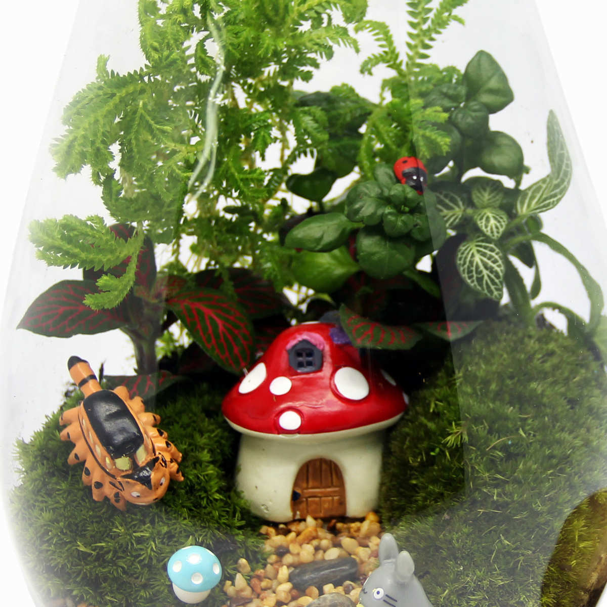 苔藓微景观 创意礼品摆件 绿植 苔藓瓶生态瓶 水滴瓶植物 小世界