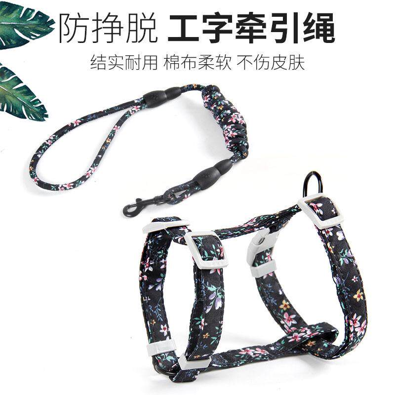 宠物宠物牵引猫咪猫咪狗牵引绳