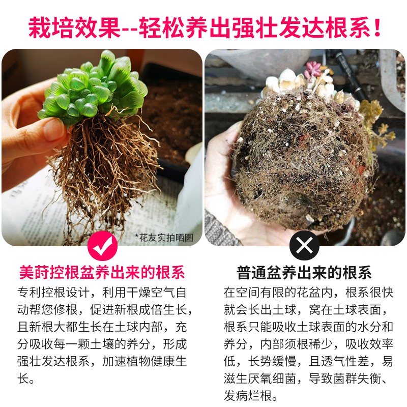 托盘套装肉植物透气控多肉创意莳小塑料美花盆长条新款根组合型肉