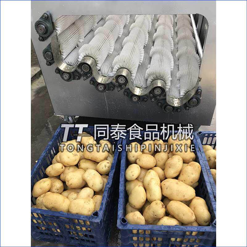 螺旋毛辊清洗机去皮机，洗土豆红薯萝卜机器，土豆地瓜洗泥机