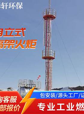低浓度废气架火炬 稀薄可燃气体焚烧 伴烧补燃型架火炬系统