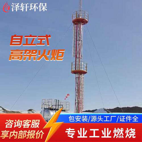 低浓度废气架火炬 稀薄可燃气体焚烧 伴烧补燃型架火炬系统