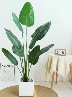 北欧风仿真绿植旅人蕉盆栽室内家居装饰摆件假树美人蕉天堂鸟植物