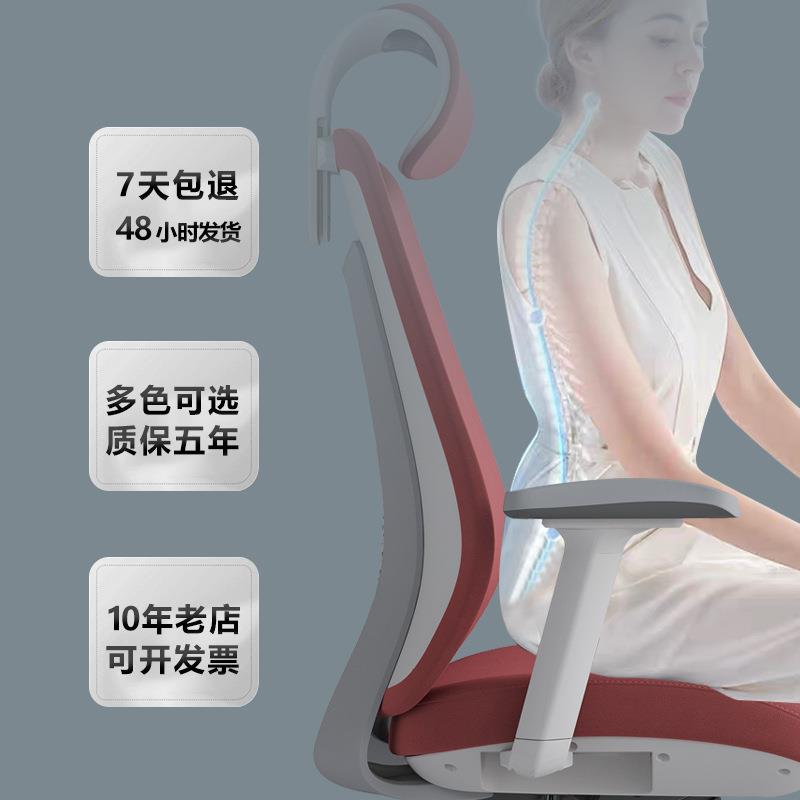 电脑椅家用适久坐体公椅座椅舒升降人工学椅RX055简约书桌办椅学