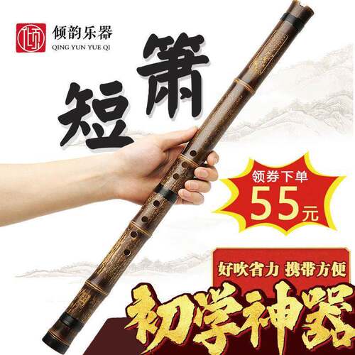 短萧乐器初学入门专业高档F紫竹洞萧笛八孔G调古风玉短箫随身小潇